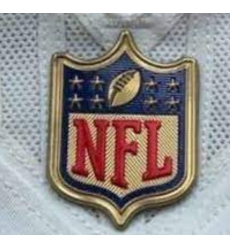 Youth Washington Commanders Gold NFL Logo Patch Biaog